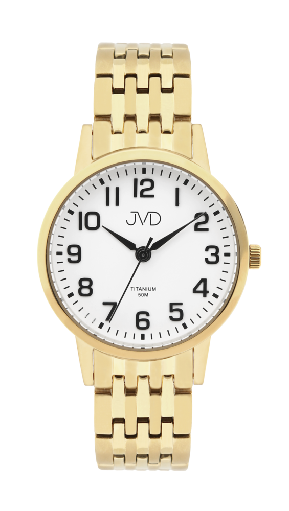 JVD Pánské zlacené  titanové antialergické hodinky JVD JE5001.3