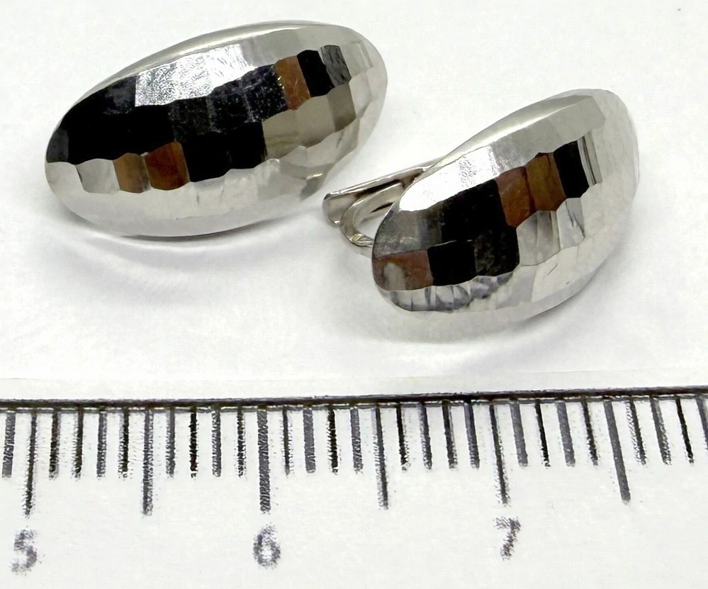 Klenoty Budín Dámské zlaté náušnice z bílého zlata na patent ryz. 585/1,86gr HK2442