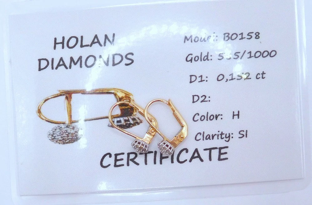 Klenoty Budín Diamantové zlaté náušnice s diamanty (bílé a žluté zlato) 585/1,65gr HKD69