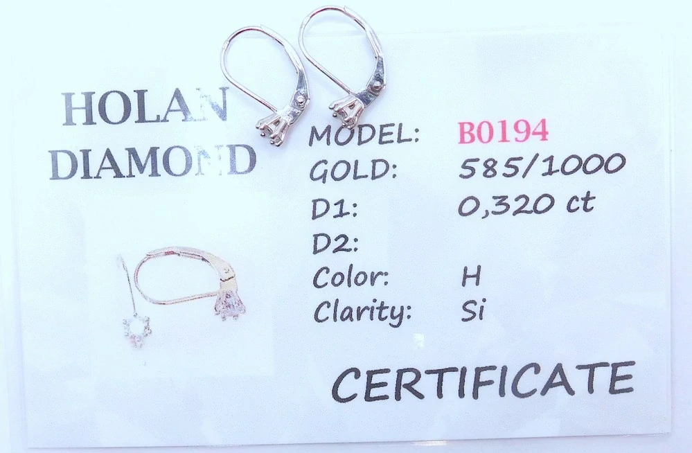 Klenoty Budín Diamantové zlaté náušnice s diamanty (bílé zlato) 0,320CT 585/0,93gr HKD67